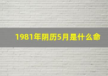 1981年阴历5月是什么命