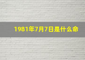 1981年7月7日是什么命