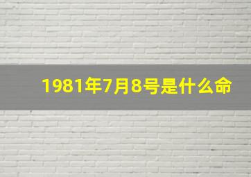 1981年7月8号是什么命