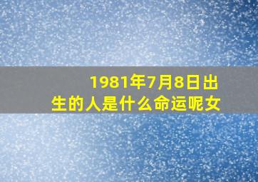 1981年7月8日出生的人是什么命运呢女