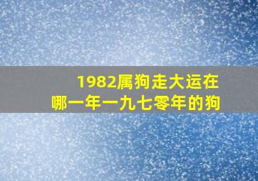 1982属狗走大运在哪一年一九七零年的狗