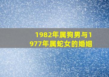 1982年属狗男与1977年属蛇女的婚姻