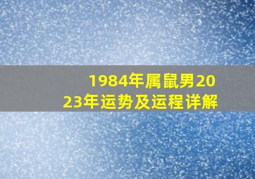 1984年属鼠男2023年运势及运程详解