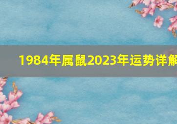 1984年属鼠2023年运势详解