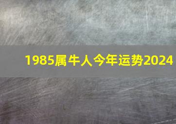 1985属牛人今年运势2024