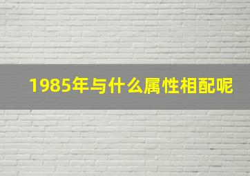 1985年与什么属性相配呢