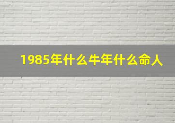 1985年什么牛年什么命人