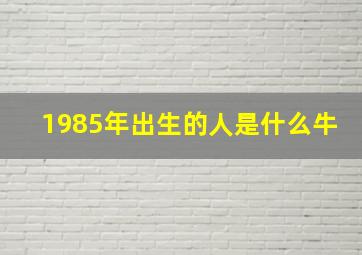 1985年出生的人是什么牛