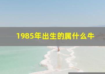 1985年出生的属什么牛