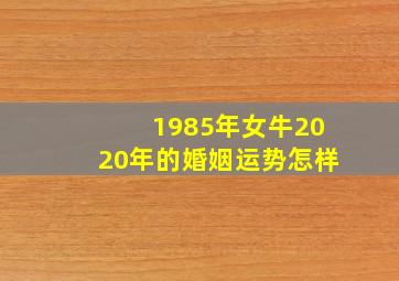 1985年女牛2020年的婚姻运势怎样