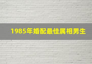 1985年婚配最佳属相男生