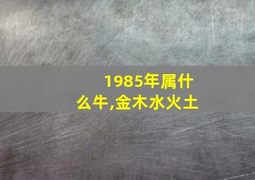 1985年属什么牛,金木水火土