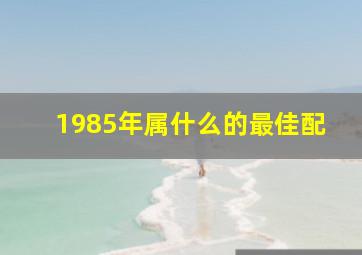 1985年属什么的最佳配