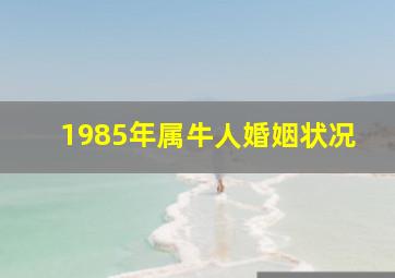 1985年属牛人婚姻状况