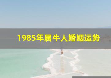 1985年属牛人婚姻运势