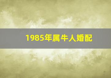 1985年属牛人婚配