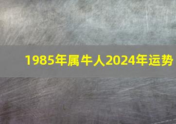 1985年属牛人2024年运势