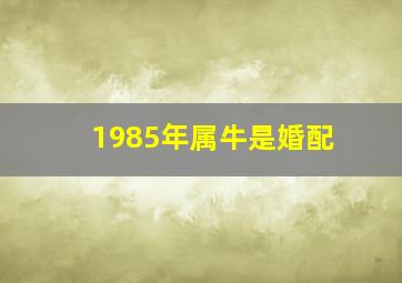 1985年属牛是婚配