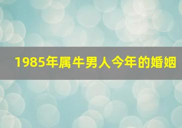 1985年属牛男人今年的婚姻