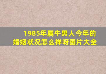 1985年属牛男人今年的婚姻状况怎么样呀图片大全