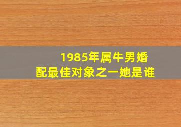 1985年属牛男婚配最佳对象之一她是谁