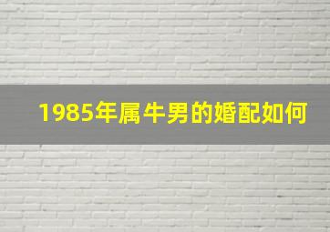 1985年属牛男的婚配如何