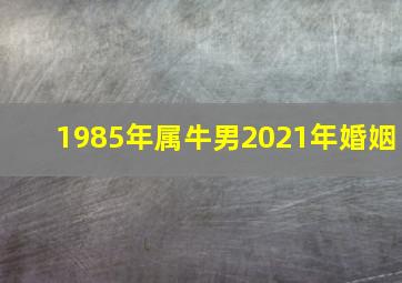 1985年属牛男2021年婚姻