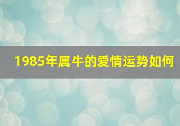 1985年属牛的爱情运势如何