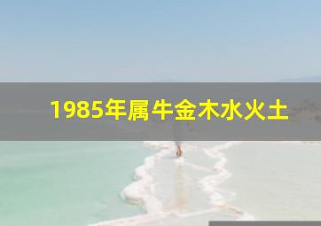 1985年属牛金木水火土