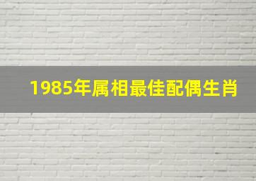 1985年属相最佳配偶生肖