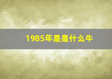 1985年是是什么牛