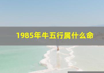 1985年牛五行属什么命