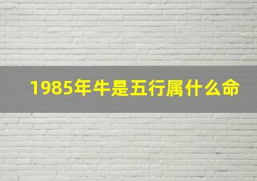 1985年牛是五行属什么命