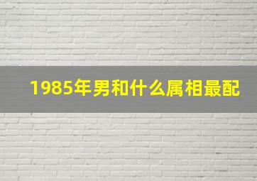 1985年男和什么属相最配