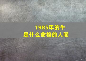 1985年的牛是什么命格的人呢