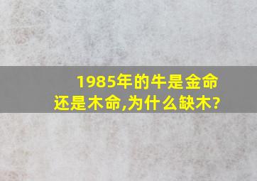 1985年的牛是金命还是木命,为什么缺木?