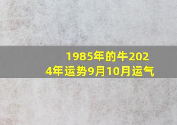 1985年的牛2024年运势9月10月运气