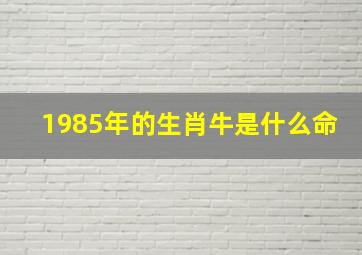 1985年的生肖牛是什么命