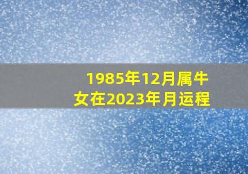 1985年12月属牛女在2023年月运程