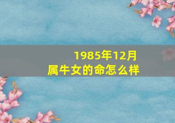 1985年12月属牛女的命怎么样