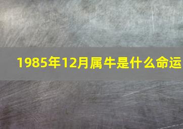 1985年12月属牛是什么命运