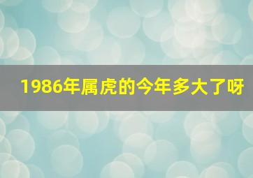 1986年属虎的今年多大了呀