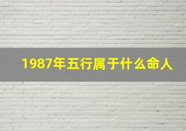 1987年五行属于什么命人