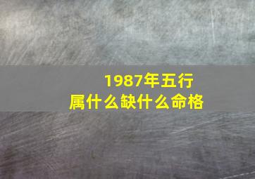 1987年五行属什么缺什么命格