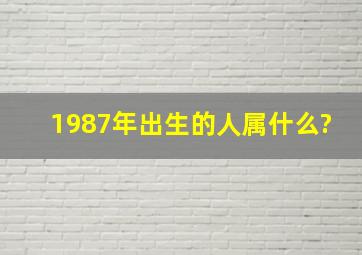 1987年出生的人属什么?