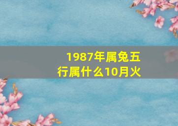 1987年属兔五行属什么10月火