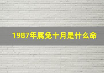 1987年属兔十月是什么命