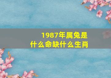 1987年属兔是什么命缺什么生肖