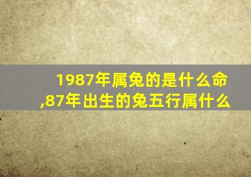 1987年属兔的是什么命,87年出生的兔五行属什么