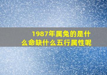 1987年属兔的是什么命缺什么五行属性呢